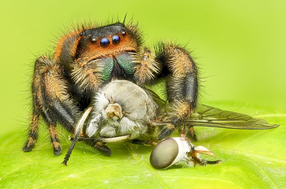 Photograph by Son Giap Hong