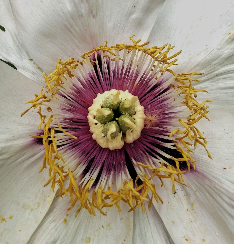 Photograph by Анна Матецкая