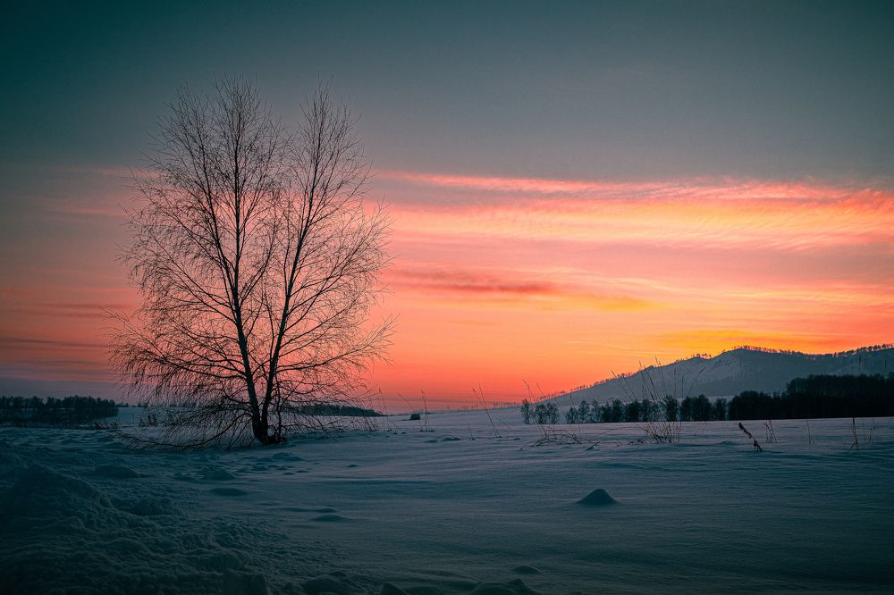 Photograph by Kostantin Belonogov