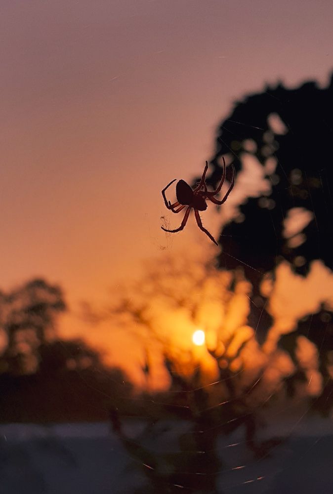 Фотография автора Rajvardhan Singh