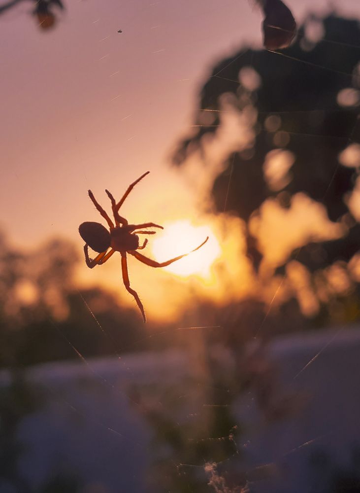 Фотография автора Rajvardhan Singh