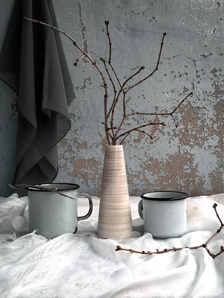 Фотография автора Татьяна Шахова