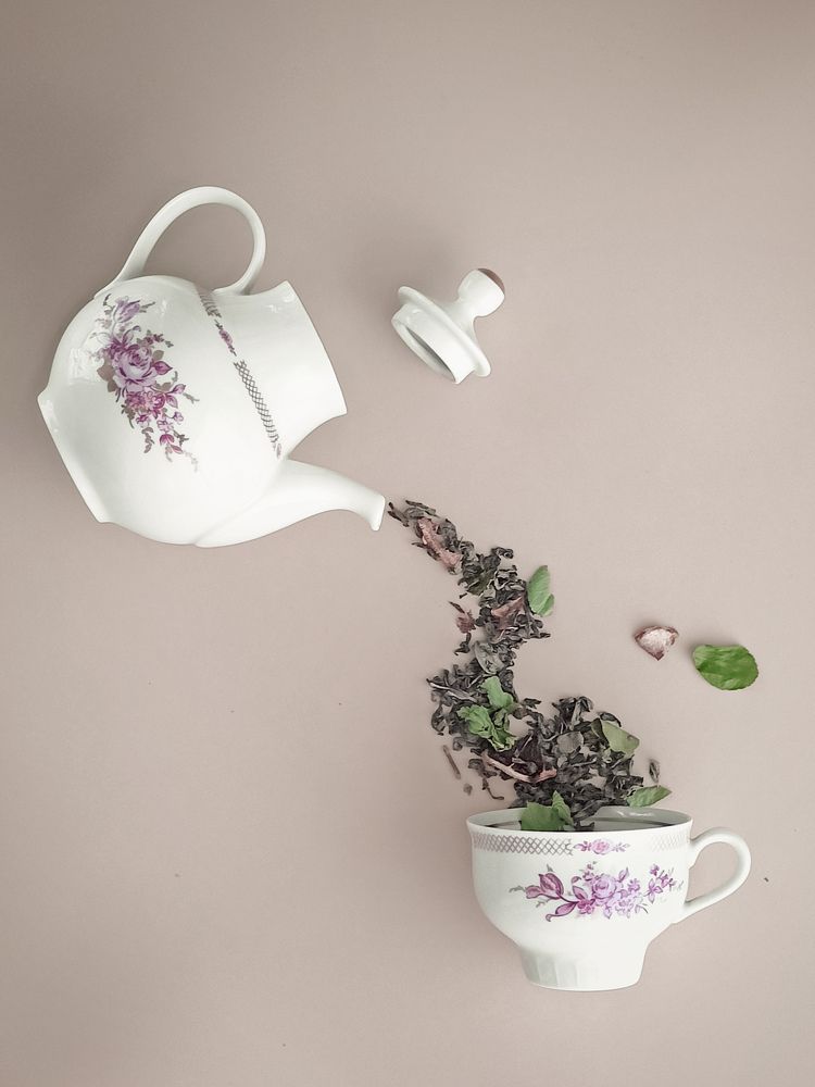 Фотография автора Татьяна Шахова