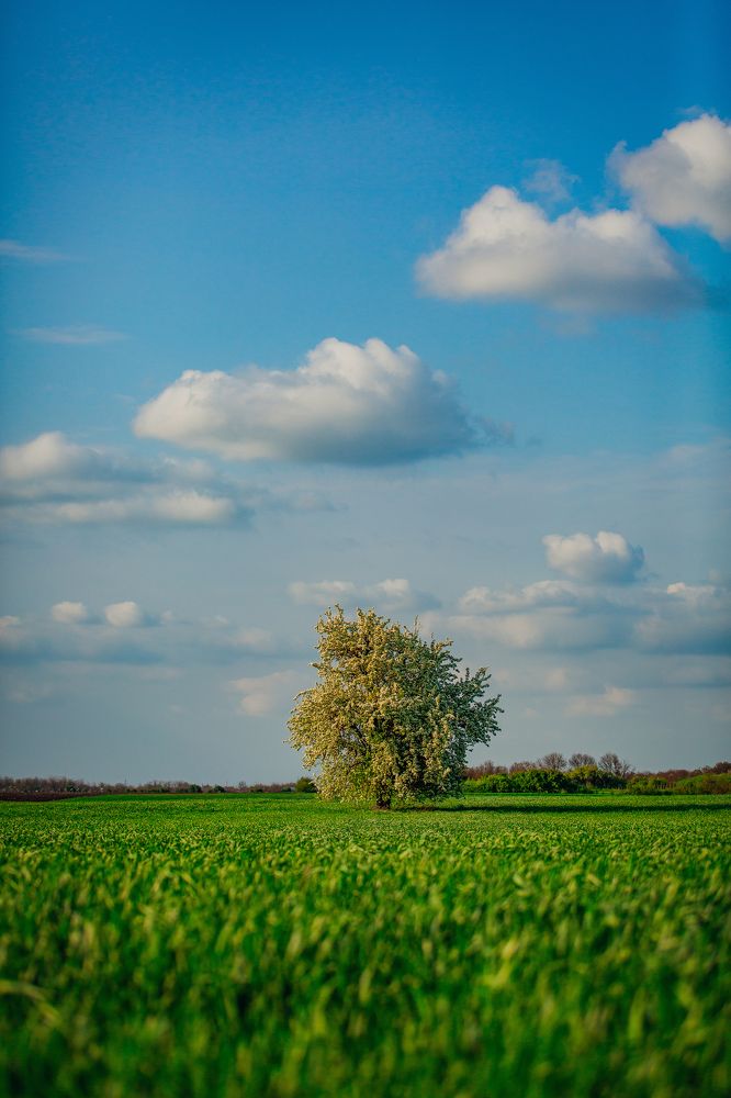 Фотография автора Вазген Бояджян