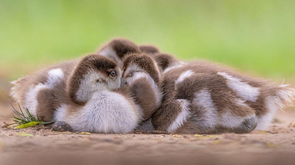 Photograph by Vladyslav Petrenko