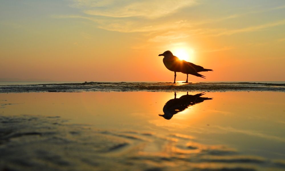 Встреча с утренним Солнцем