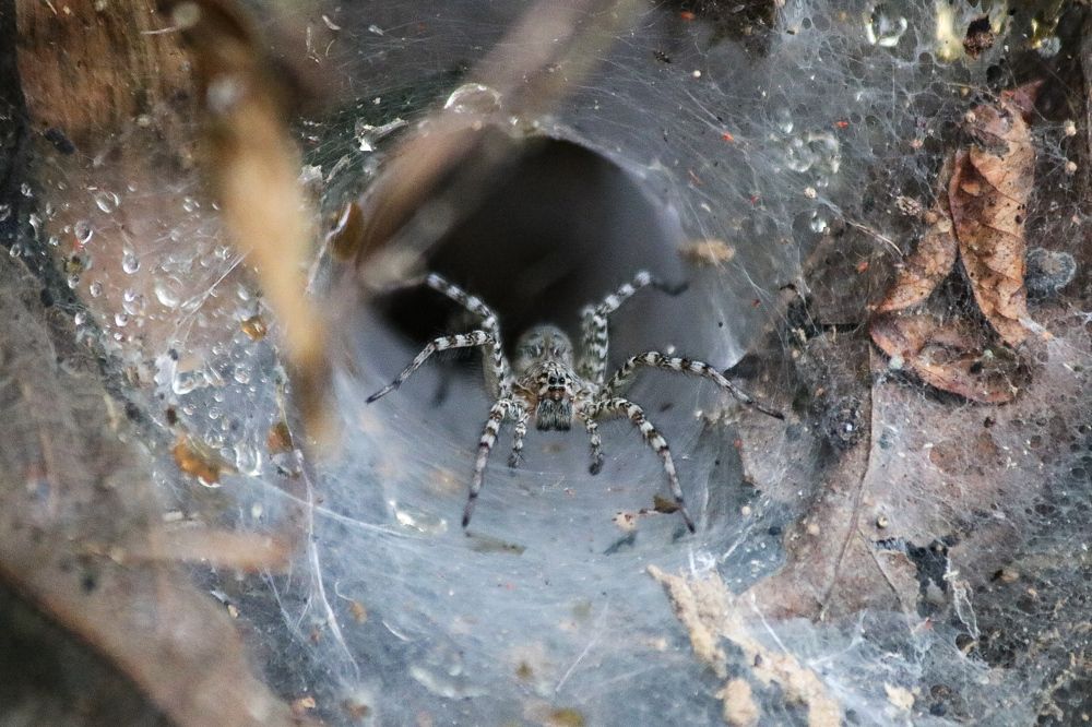 Photograph by Елизавета