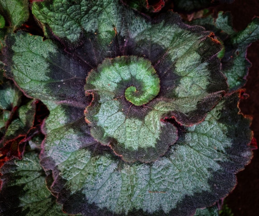 Photograph by Alina Iakovleva