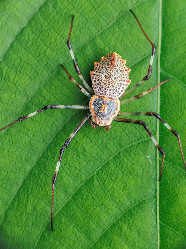 Photograph by Sunil Kumar paswan