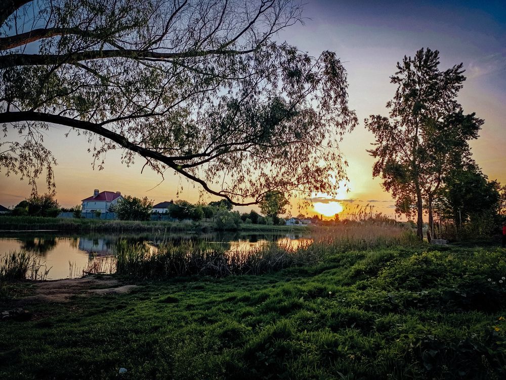 Photograph by Юлия Жукова