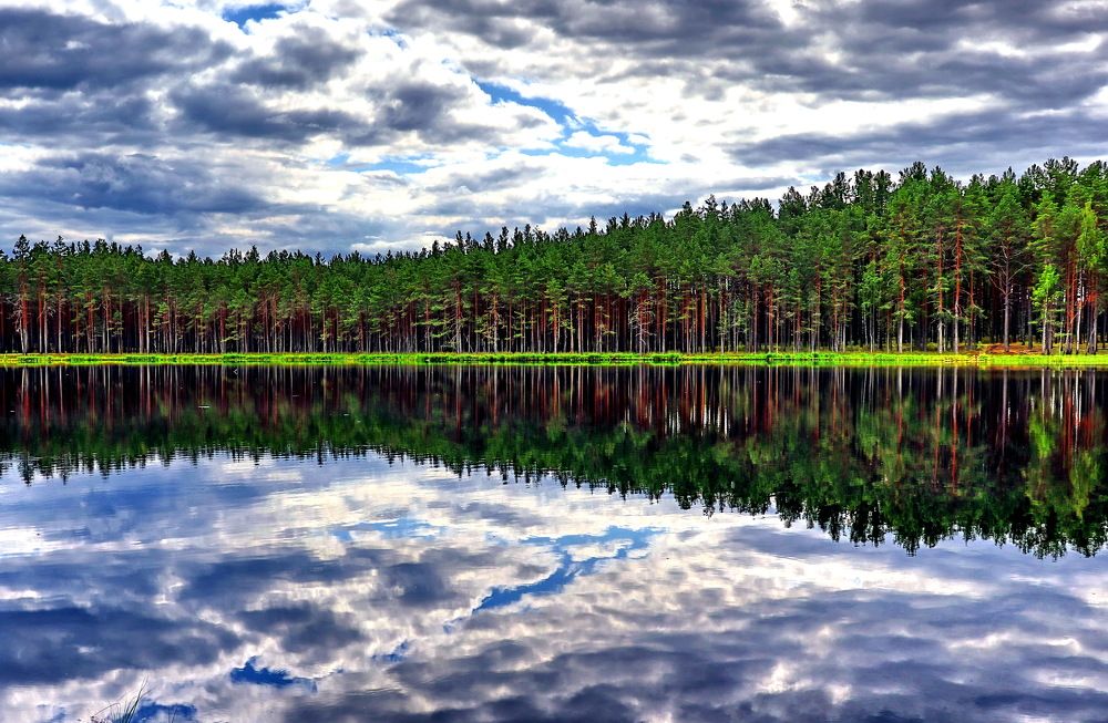 Photograph by Александр Лазебник