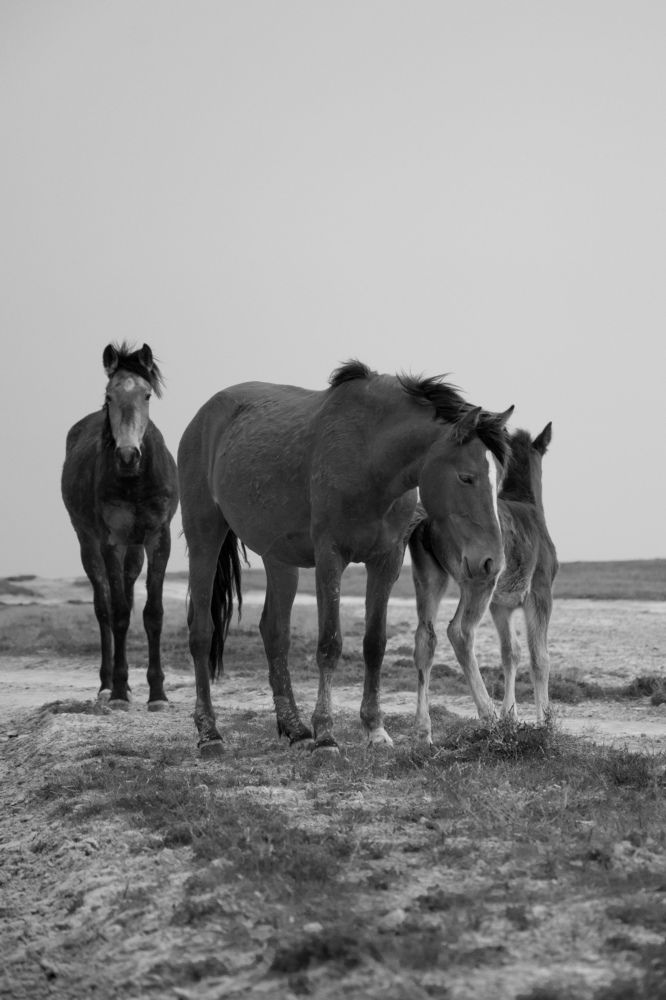 Фотография автора Адам Шаповалов