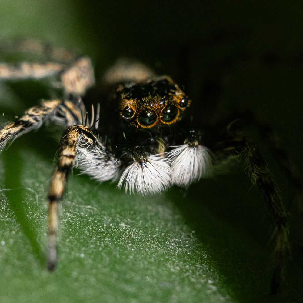 Photograph by Илья Мячин