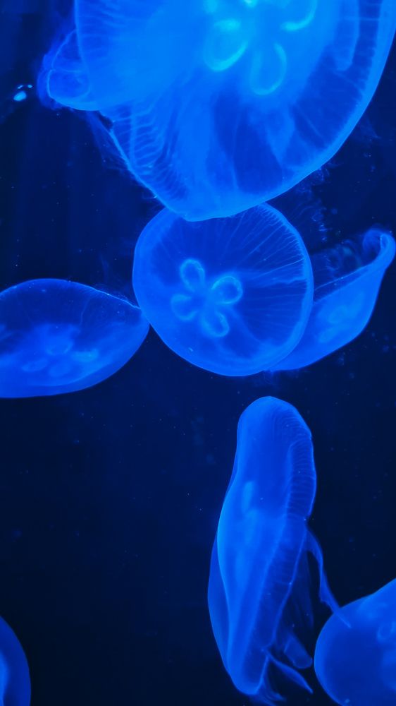 Фотография автора Всеволод Юрша