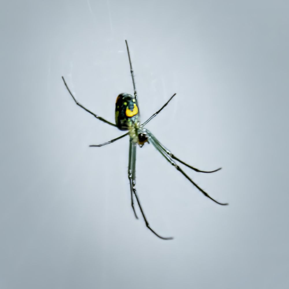 Фотография автора Ray Asiala