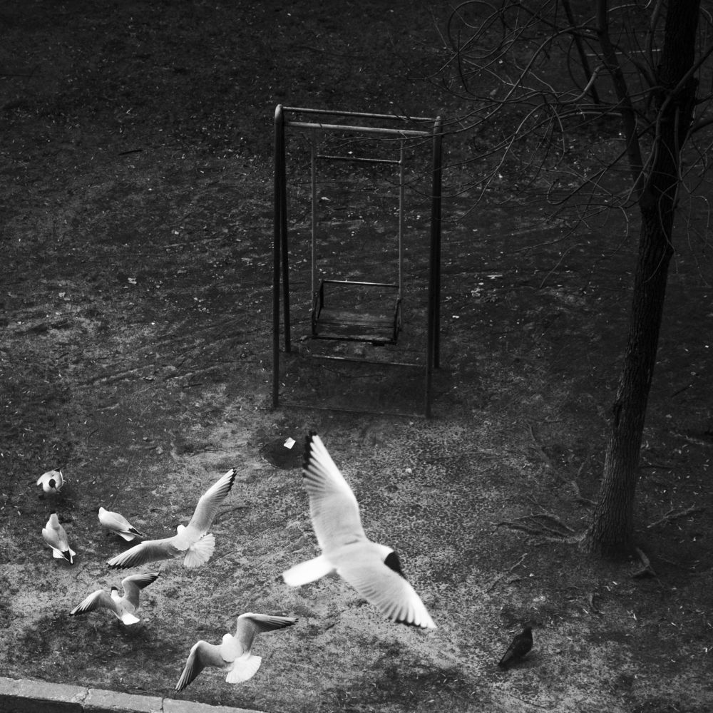 Photograph by Георгий Горшков