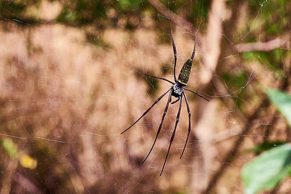 Photograph by Дмитрий Солодухин