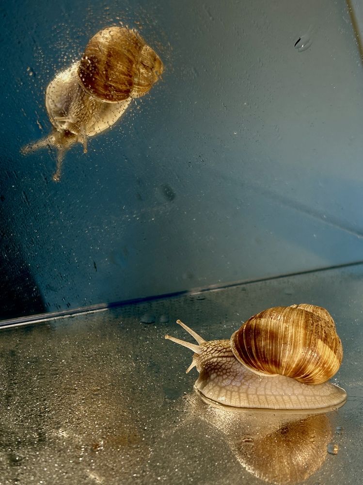 Фотография автора Nastasya Sablina