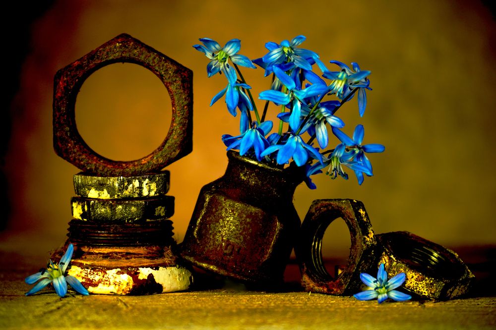 Photograph by Раиса Хоменко