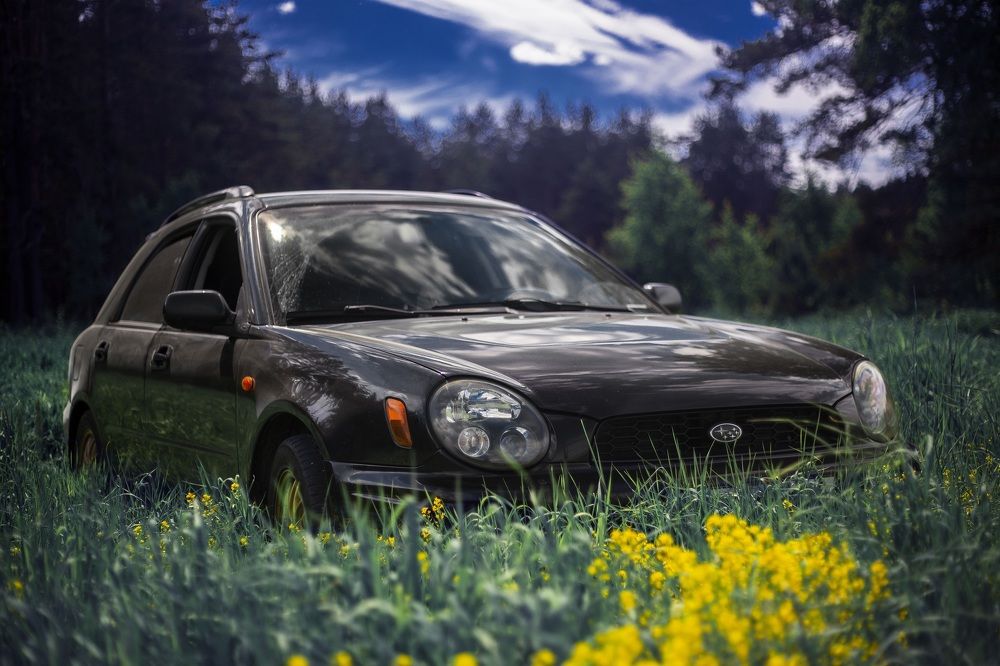 Фотография автора Ирун