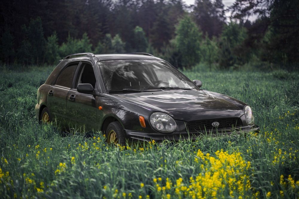 Photograph by Ирун Почётнова