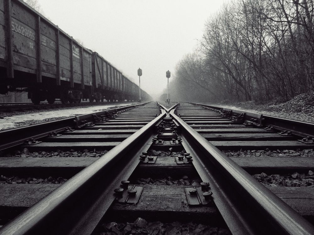 Photograph by Пищулина Ксения