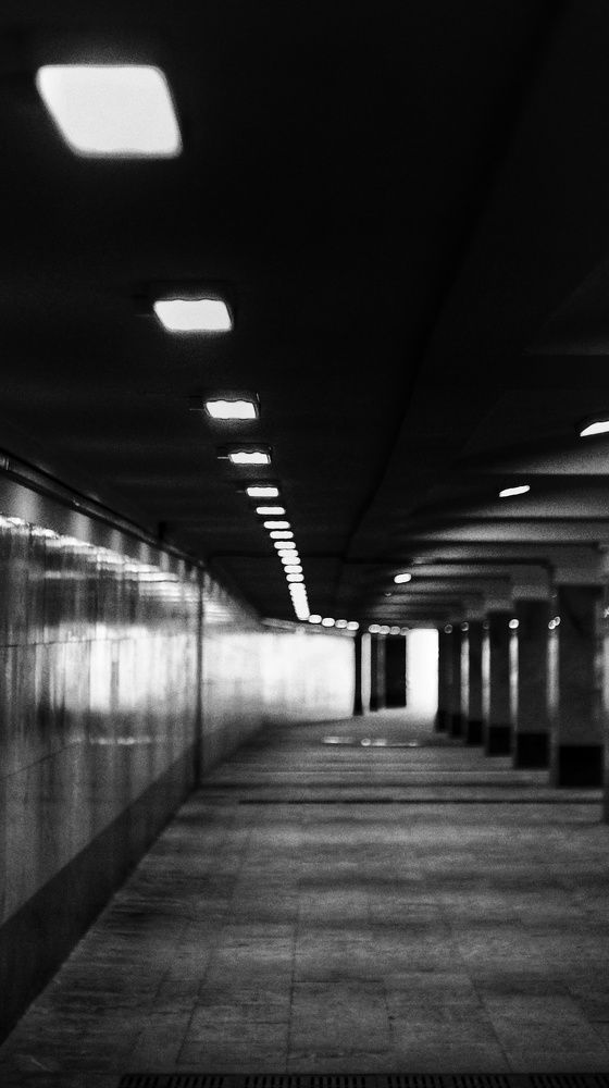 Photograph by Пищулина Ксения