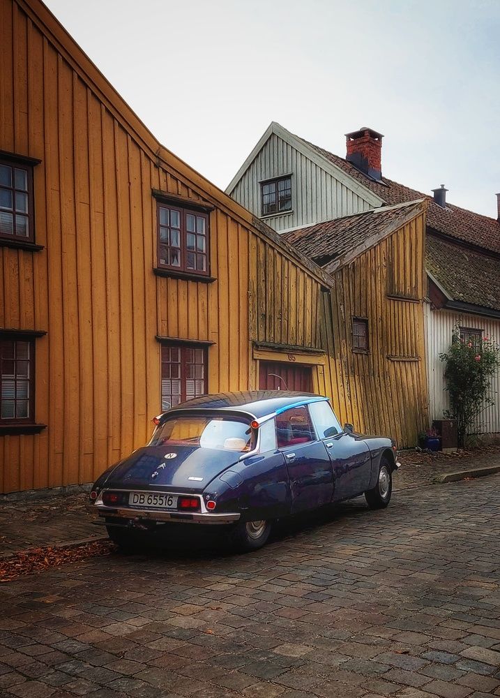 Фотография автора Alina Filimonova