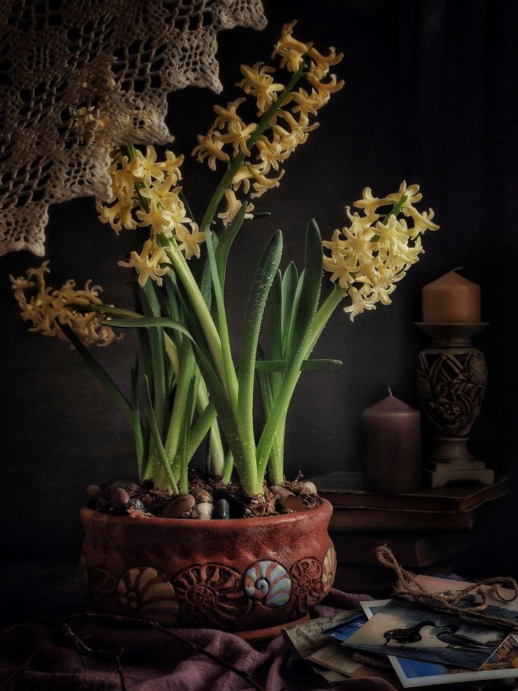 Photograph by Anastasia Malyukova