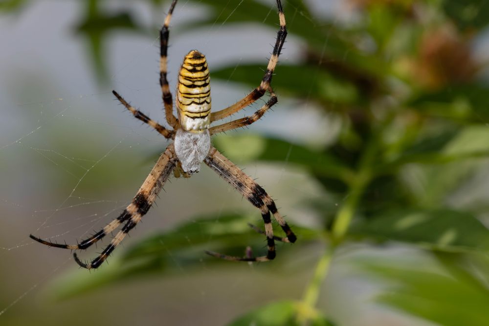 Photograph by Светлана Тараканова