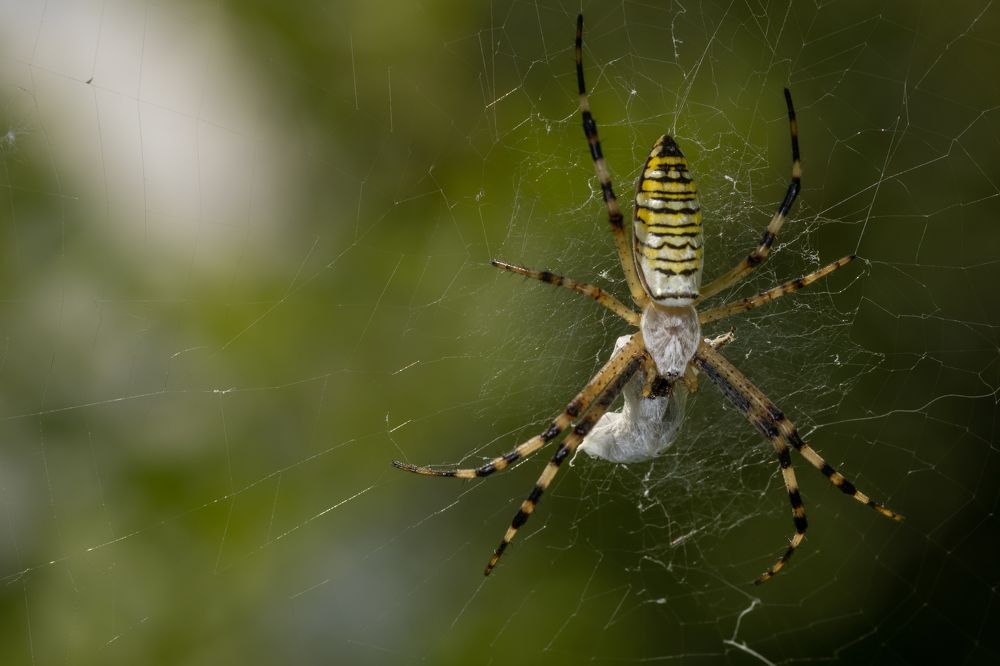 Photograph by Светлана Тараканова