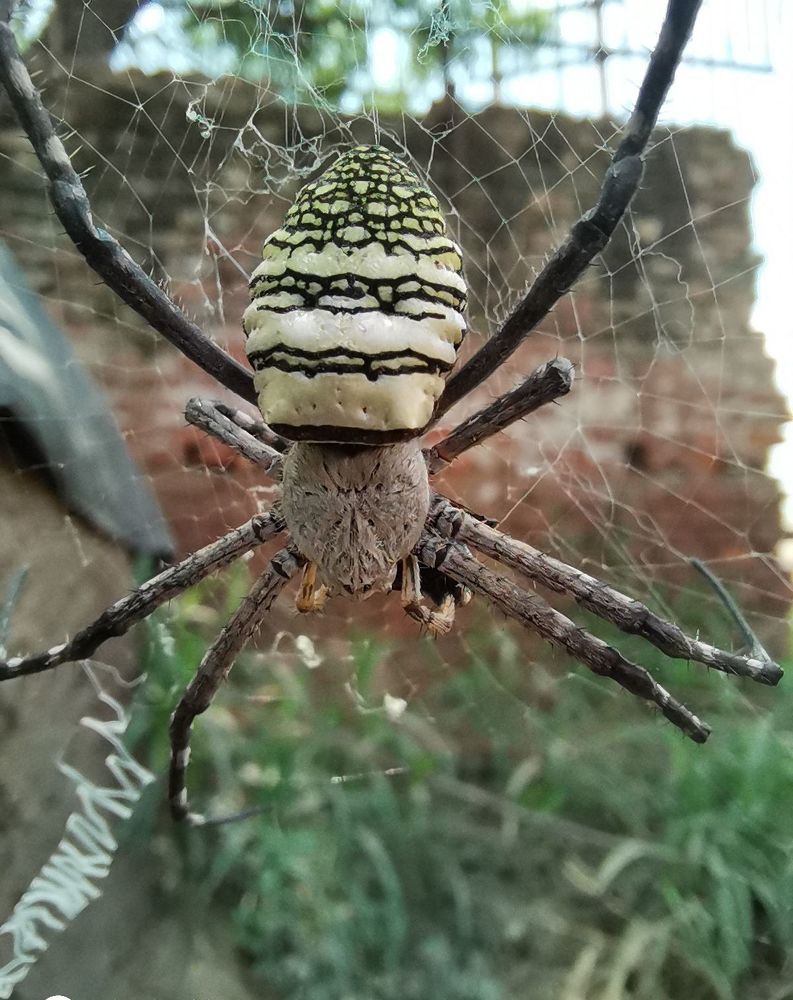 Photograph by Anil Yadav