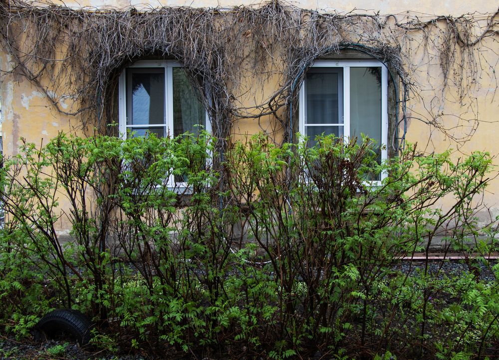 Photograph by Артём Пирогов