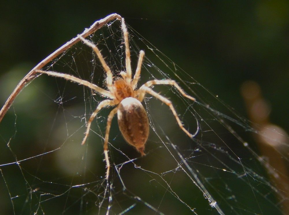 Photograph by Ирина Самойленко