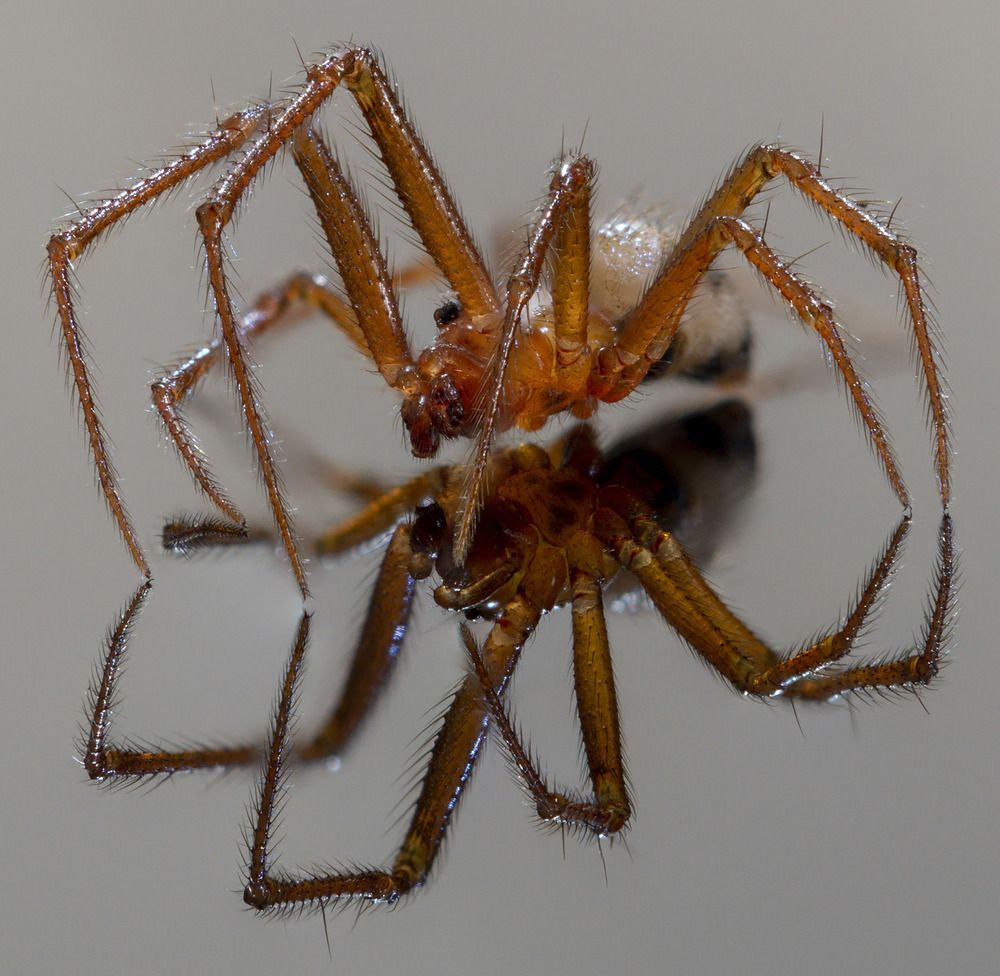 Photograph by Владимир М