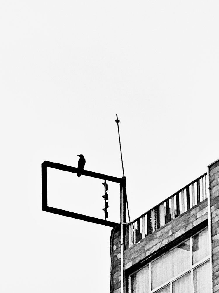 Photograph by فرشاد امیری