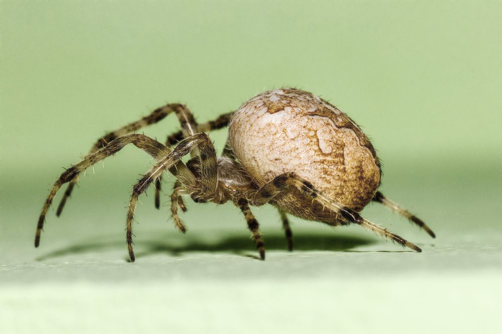 Photograph by Александр Стрельченко