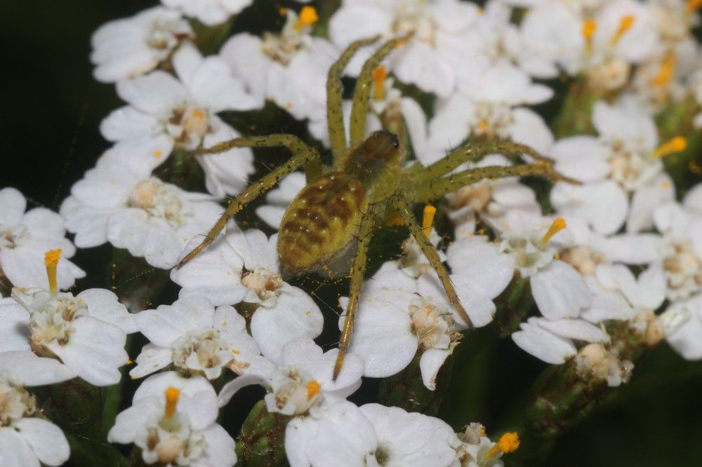 Photograph by Юлия Алпатова
