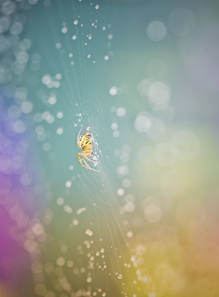 Фотография автора Герчев Николай