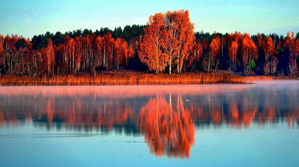 Photograph by 