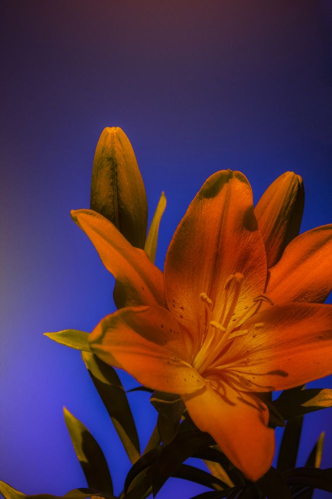 Photograph by Анна Ушакова