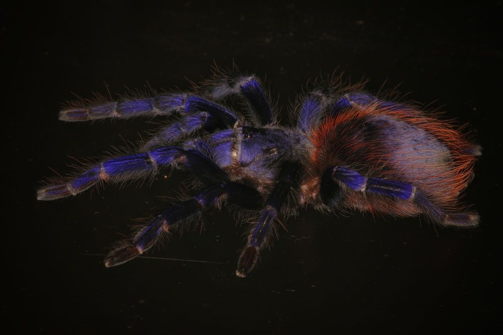 Photograph by Владимир Микрокосмос