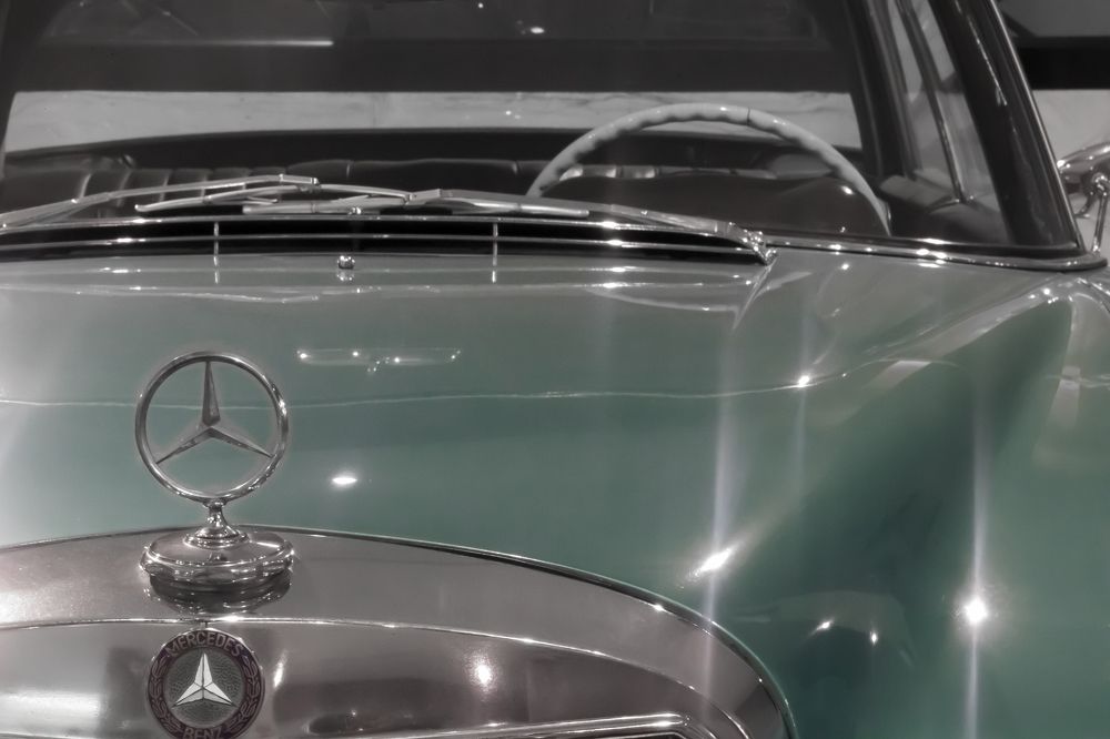 Photograph by romina moniri