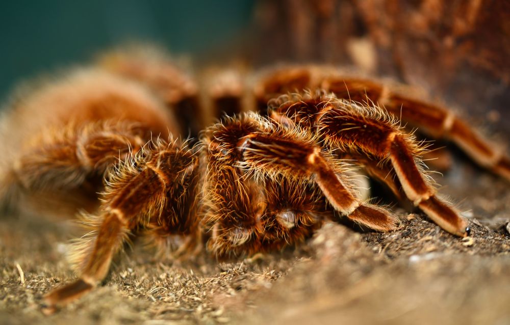 Photograph by Владислав Кравцов