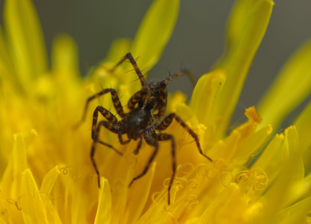 Photograph by Владислав Кравцов