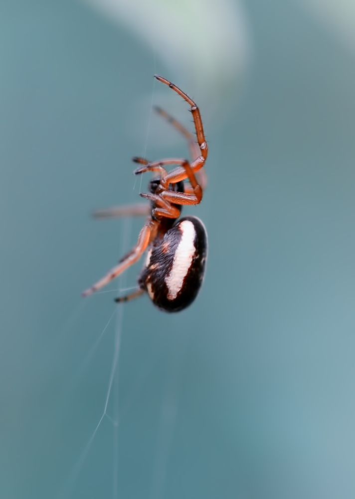 Photograph by Владислав Кравцов