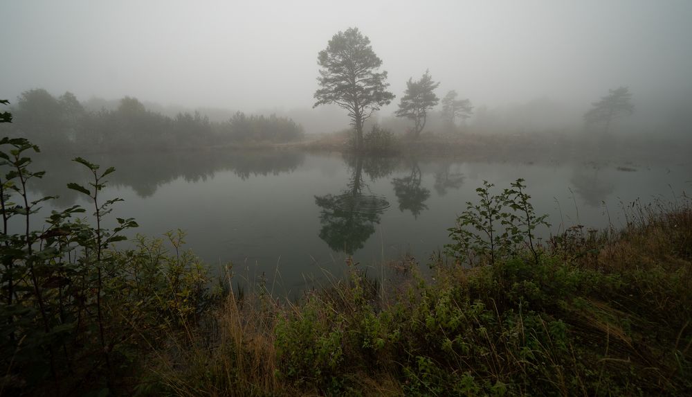 Photograph by Юрий Гаврилов