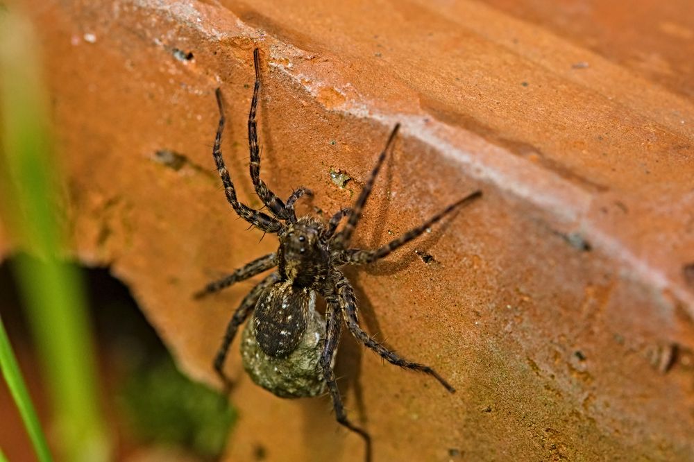 Photograph by Руслан Ибрагимов