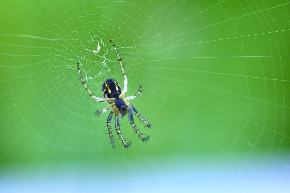 Photograph by Руслан Ибрагимов