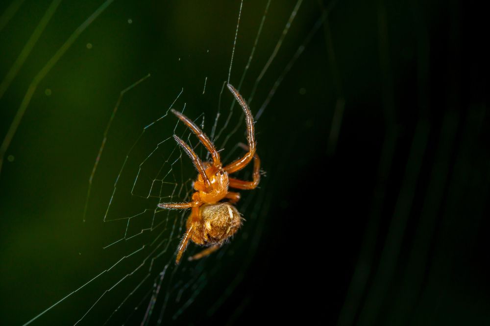 Photograph by Руслан Лесков